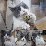  Que cỏ bạc hà Catnip dành cho mèo 