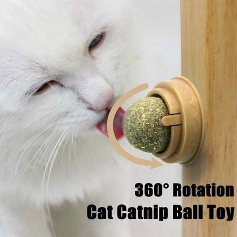  Cục Tròn Catnip Cỏ Bạc Hà Cho Mèo - Loại Dán Tường 