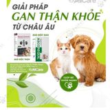  Siro Giải Độc Gan Ascorequil 50ml - Phục Hồi Chức Năng Gan Hiệu Quả, Tăng Tuổi Thọ Cho Chó Mèo - Xuất Xứ Italy (Allcarequil) 