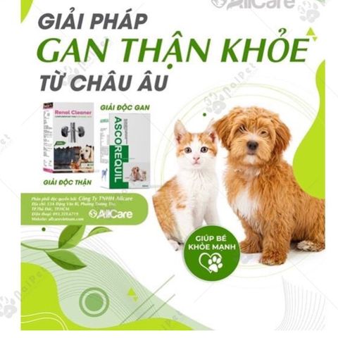  Siro Giải Độc Gan Ascorequil 50ml - Phục Hồi Chức Năng Gan Hiệu Quả, Tăng Tuổi Thọ Cho Chó Mèo - Xuất Xứ Italy (Allcarequil) 