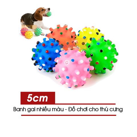  Đồ Chơi Banh Nhựa Cho Thú Cưng - Banh Gai Cao Su - Màu Ngẫu Nhiên 