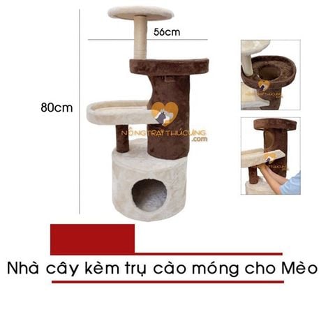  Cat Tree Nhà Cây Cho Mèo 