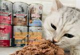  Pate Mèo MORANDO - 400gr - Nhiều Vị 