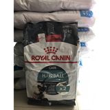  Hạt Mèo ROYAL CANIN HAIRBALL giúp Mèo tiêu búi lông, Mèo lông dài 