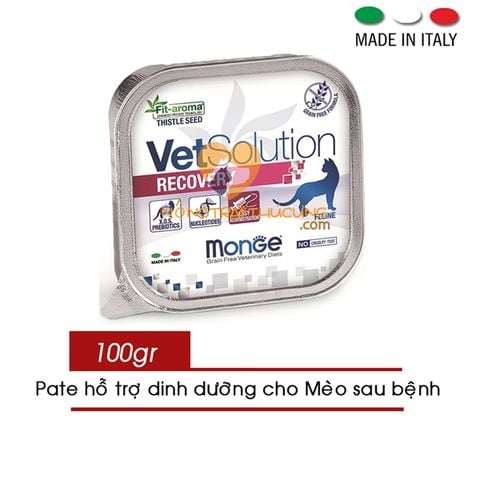  Pate Monge Mèo - Monge Vet Solution Gastrointestinal 100g - Nhiều loại 