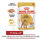  Pate cho chó ROYAL CANIN POODLE - 85gr 