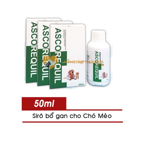  Siro Giải Độc Gan Ascorequil 50ml - Phục Hồi Chức Năng Gan Hiệu Quả, Tăng Tuổi Thọ Cho Chó Mèo - Xuất Xứ Italy (Allcarequil) 