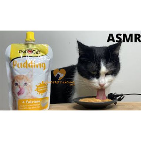  Gimcat Pudding Cho Mèo Hỗ Trợ Dinh Dưỡng Gói 150G 