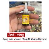  Siro Pha Uống Vitamin Cho Hamster 