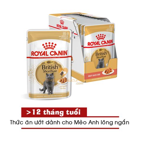  Pate mèo Anh Lông Ngắn ROYAL CANIN BRITISH SHORTHAIR WET 85gr 