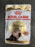  Pate cho mèo Ba Tư ROYAL CANIN PERSIAN WET 85gr 