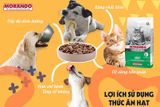  Hạt Mèo Trưởng Thành Morando (Ý - Italy) MORANDO 2KG - Nhiều Vị 