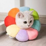  Vòng Chống Liếm Hình Bông Hoa Nhiều Size 