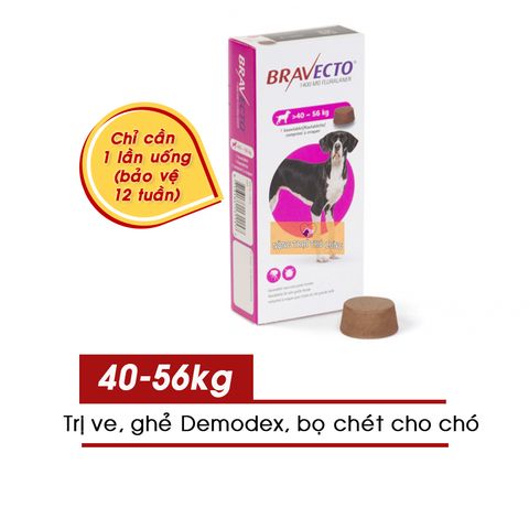  Viên Bravecto Trị Ve, Ghẻ, Bọ Chét, Demodex Cho Chó 