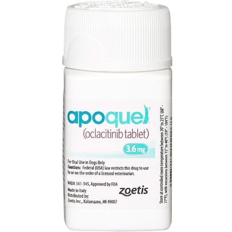  Thuốc trị viêm da cho chó Apoquel Tablets 