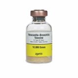  Vaccine 5 bệnh Chó Zoetis 