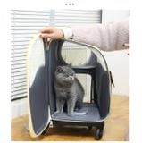  Vali Kéo Vận Chuyển Chó Mèo Vải Lưới Thoáng Khí 42x38x26 (cm) - Đeo Vai Được 