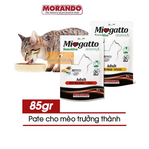  Pate cho mèo lớn Miogatto 85g - Nhiều vị 