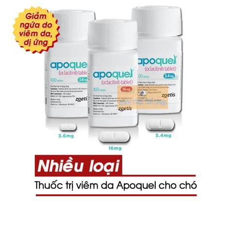  Thuốc trị viêm da cho chó Apoquel Tablets 