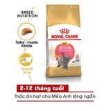  Hạt Mèo ROYAL CANIN BRITISH SHORTHAIR ADULT/KITTEN - 400g/2kg 