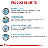  Hạt Cho Chó Viêm Da, Rụng Lông Royal Canin Skin Care 