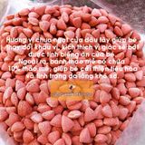  Bánh Thảo Mễ Vị Dâu Cho Hamster 25g 