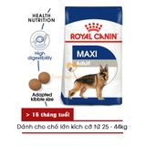 Hạt Chó ROYAL CANIN MAXI PUPPY/ ADULT giống Chó lớn 