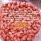  Bánh Thảo Mễ Vị Dâu Cho Hamster 25g 