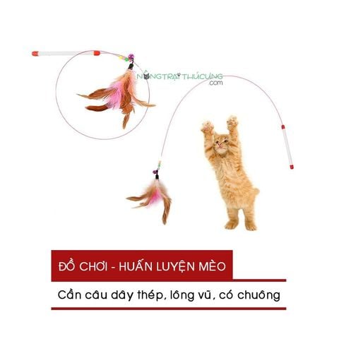  Cần Câu Lông Vũ Có Chuông 