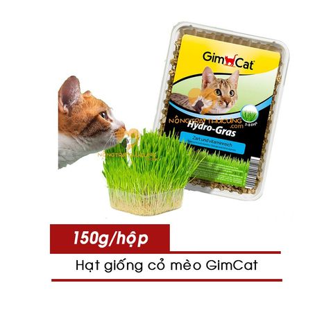  Bộ Kit Trồng Cỏ Mèo GimCat Hydro-Grass Hộp 150g - Cỏ Bạc Hà Giúp Giảm Stress Cho Mèo 