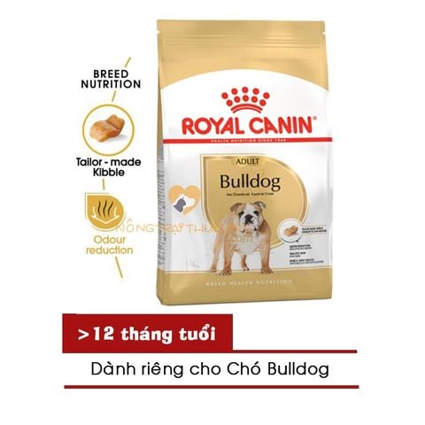  Hạt Chó ROYAL CANIN BULLDOG ADULT/PUPPY - 1/3KG 