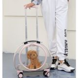  Vali Kéo Vận Chuyển Chó Mèo (Đeo Vai Được) 43x26x40 cm 