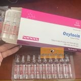  Oxytocin Tiêm Hồ Trợ Rặn Đẻ Ống 2ml 