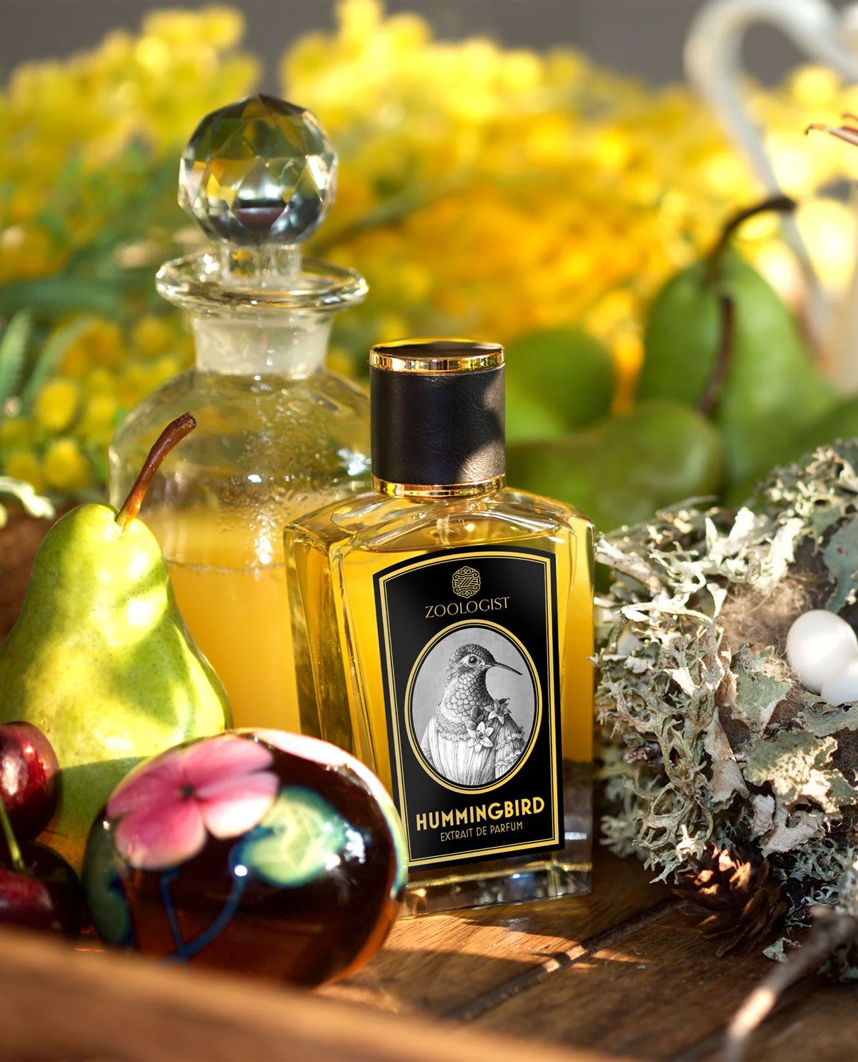 Nước hoa Unisex Zoologist Perfumes Hummingbird VMIA Perfume