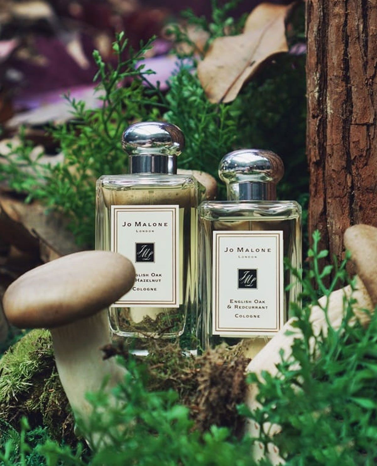 香水(ユニセックス) Jo Malone English Oak & Redcurrant 30ml Jo Malone English Oak & Redcurrant Perfume For Unisex By Jo