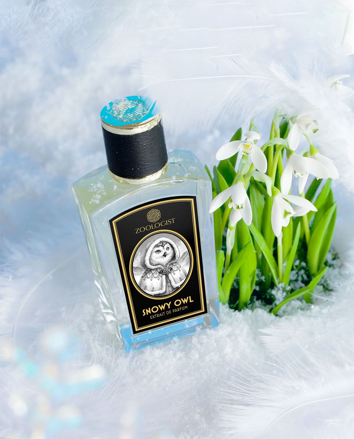 Nước hoa Unisex Zoologist Perfumes Snowy Owl VMIA Perfume