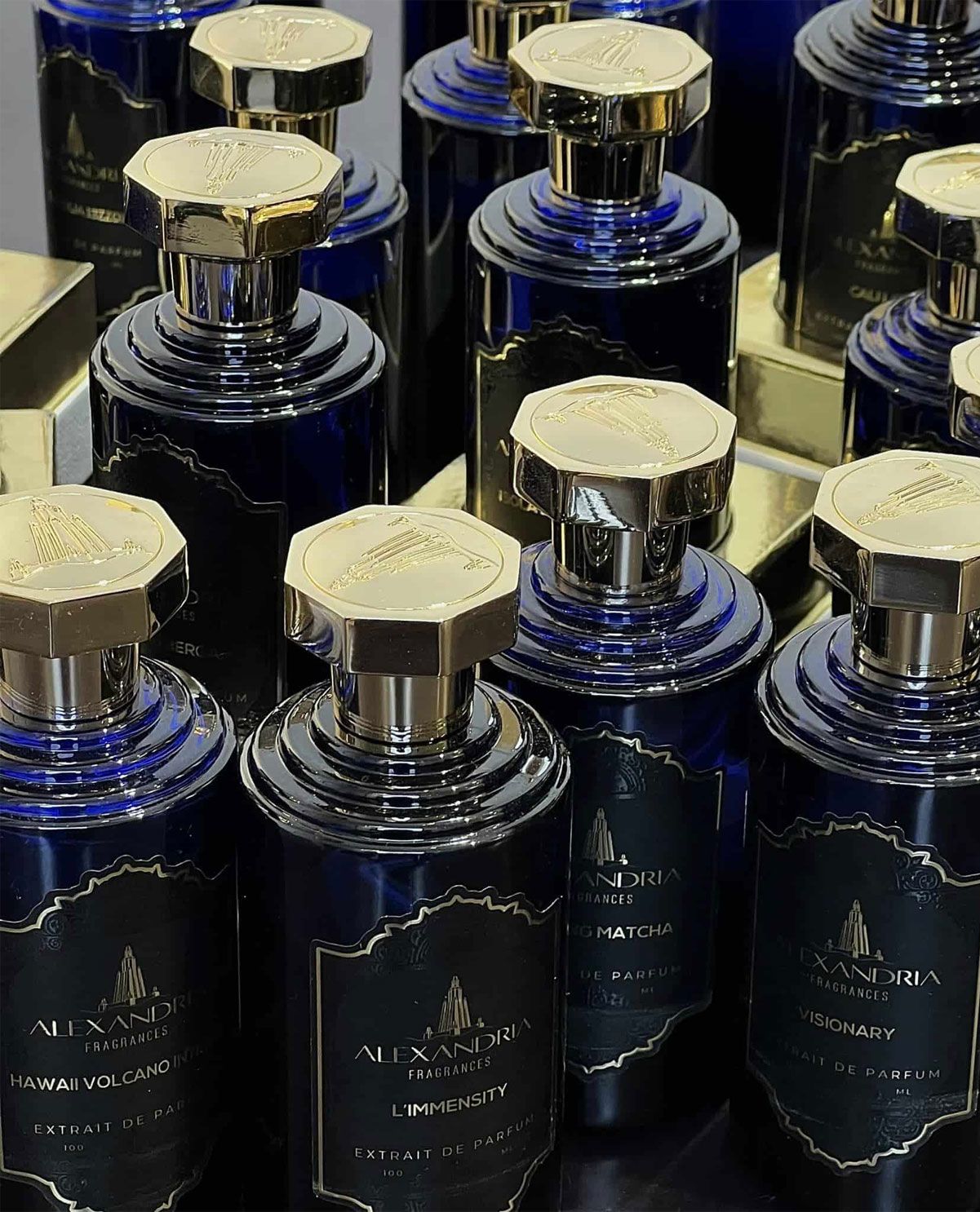 ALEXANDRIA FRAGRANCES BRASILIA 13ZZ01 香水(男性用) ALEXANDRIA