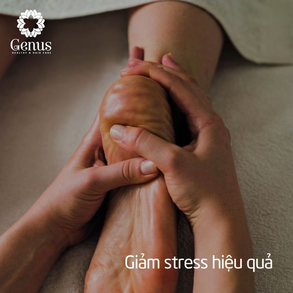  Massage Body Cơ bản 