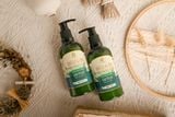  DẦU GỘI DETOX BẠC HÀ LÁ NON 