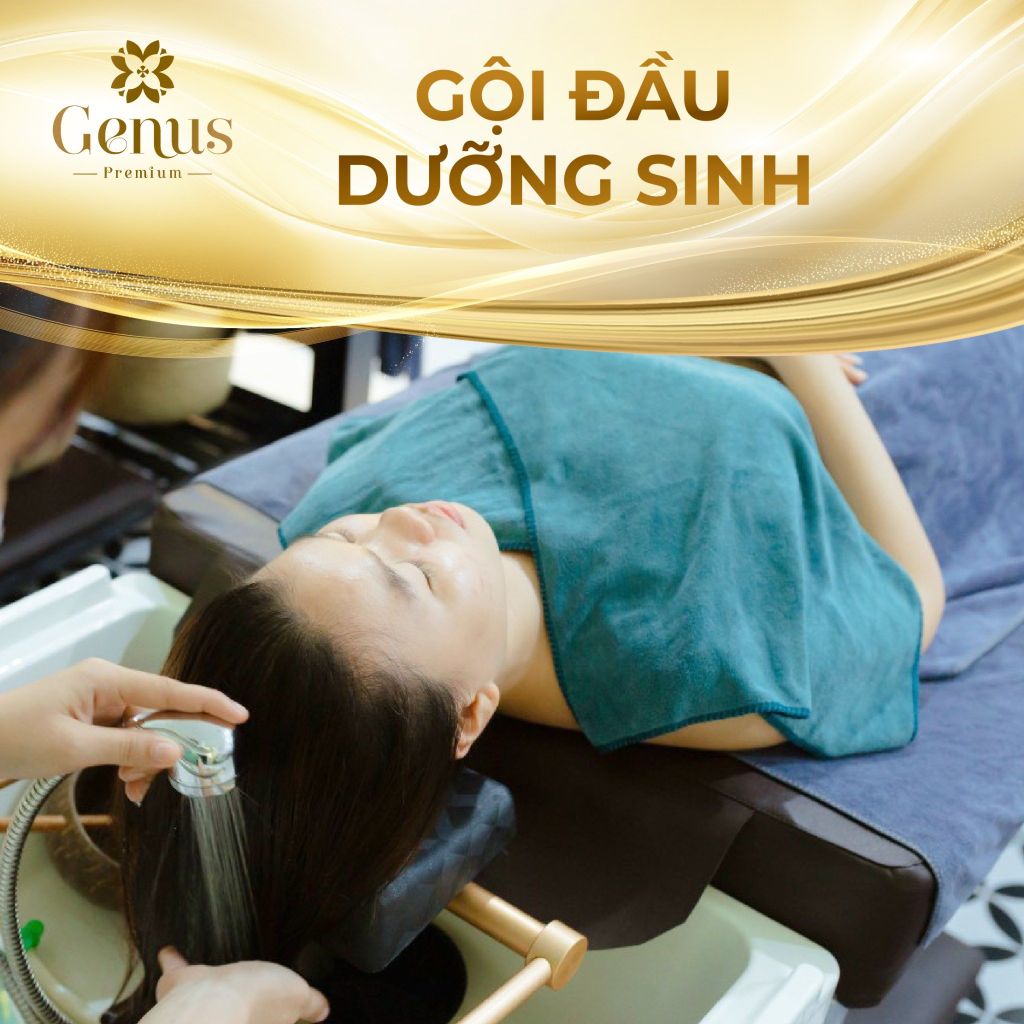  Premium - Gội đầu Dưỡng sinh 