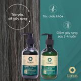  DẦU XẢ THẢO DƯỢC NHÂN SÂM 