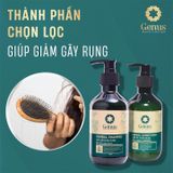  DẦU XẢ THẢO DƯỢC NHÂN SÂM 