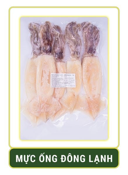  Mực ống đông lạnh 
