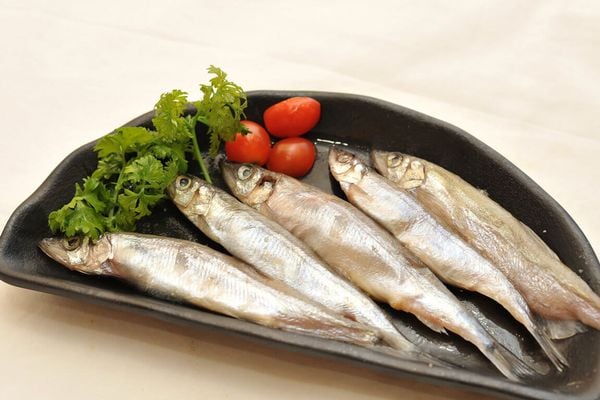  Cá trứng đông lạnh 