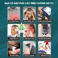 Trà Ổn Định Huyết Áp Giảm Đường Huyết Định Áp An Mộc Trà