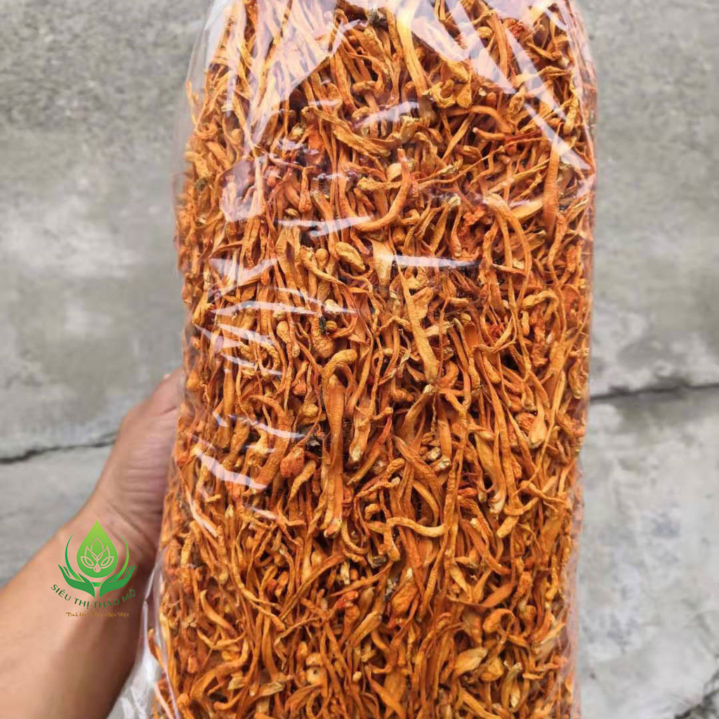 Đông Trùng Hạ Thảo Sấy Khô Sợi To Ngon Hàng Cao Cấp
