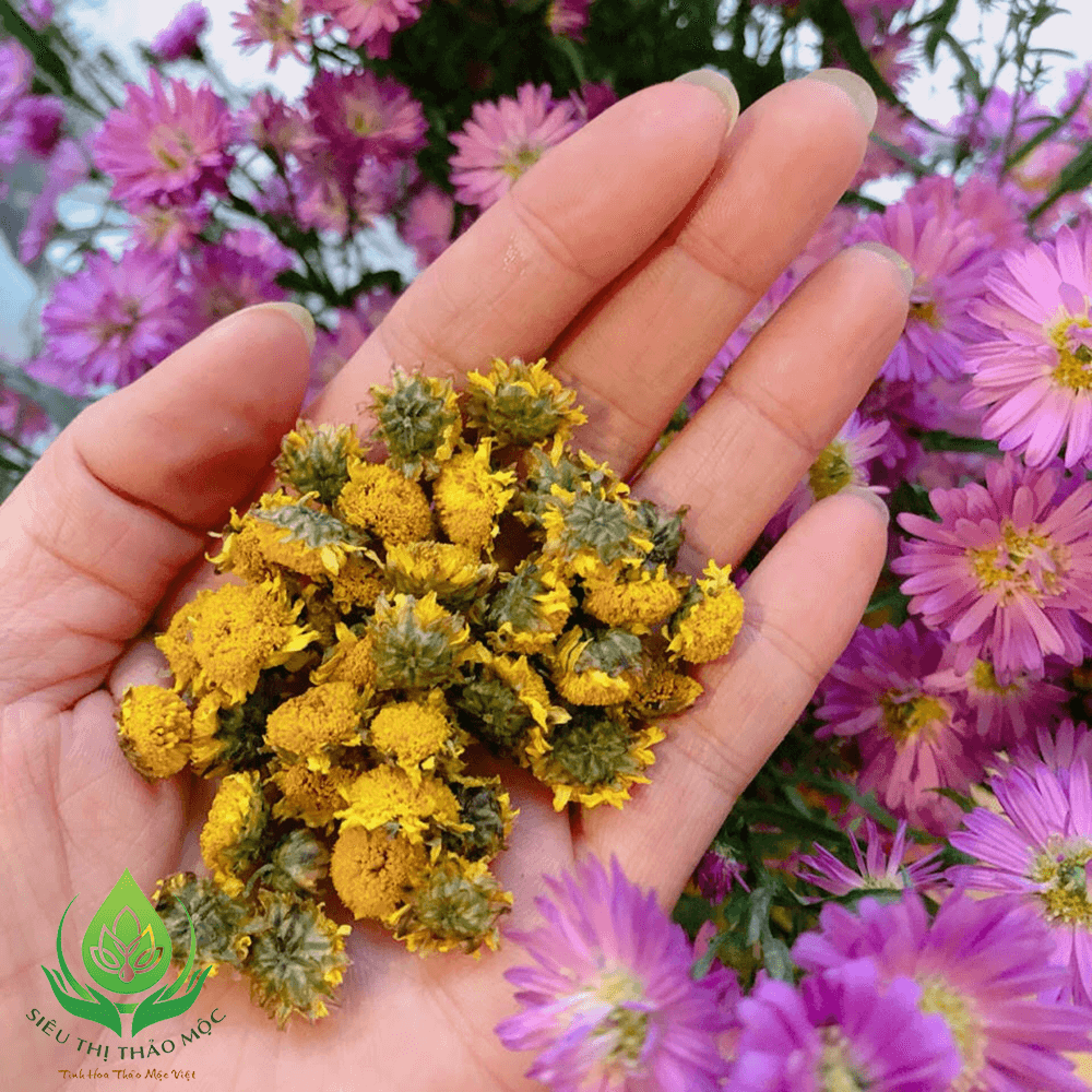 Trà Hoa Cúc Chi (Cúc Tiến Vua) Sấy Khô Nguyên Bông