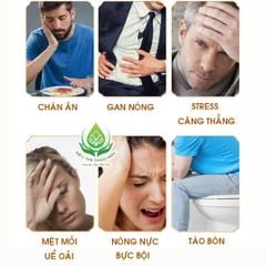 Trà Thanh Nhiệt Giải Độc Mát Gan Thanh Can An Mộc Trà Giải Nhiệt Mua Hè