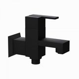  Vòi nước lạnh 2 đường nước 