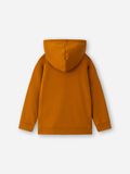  Áo Hoodie bé trai Chiho BDH302R 